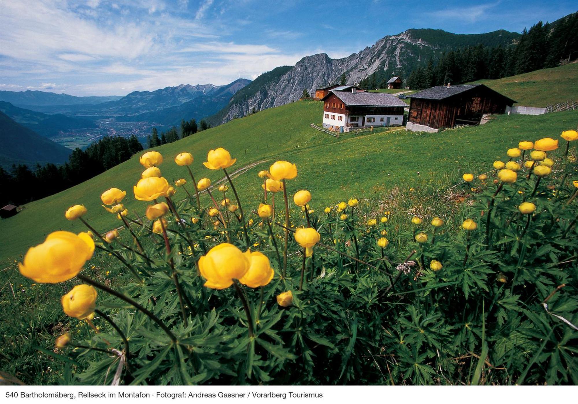 Alpine Lodge Kloesterle Am Arlberg Habitación foto